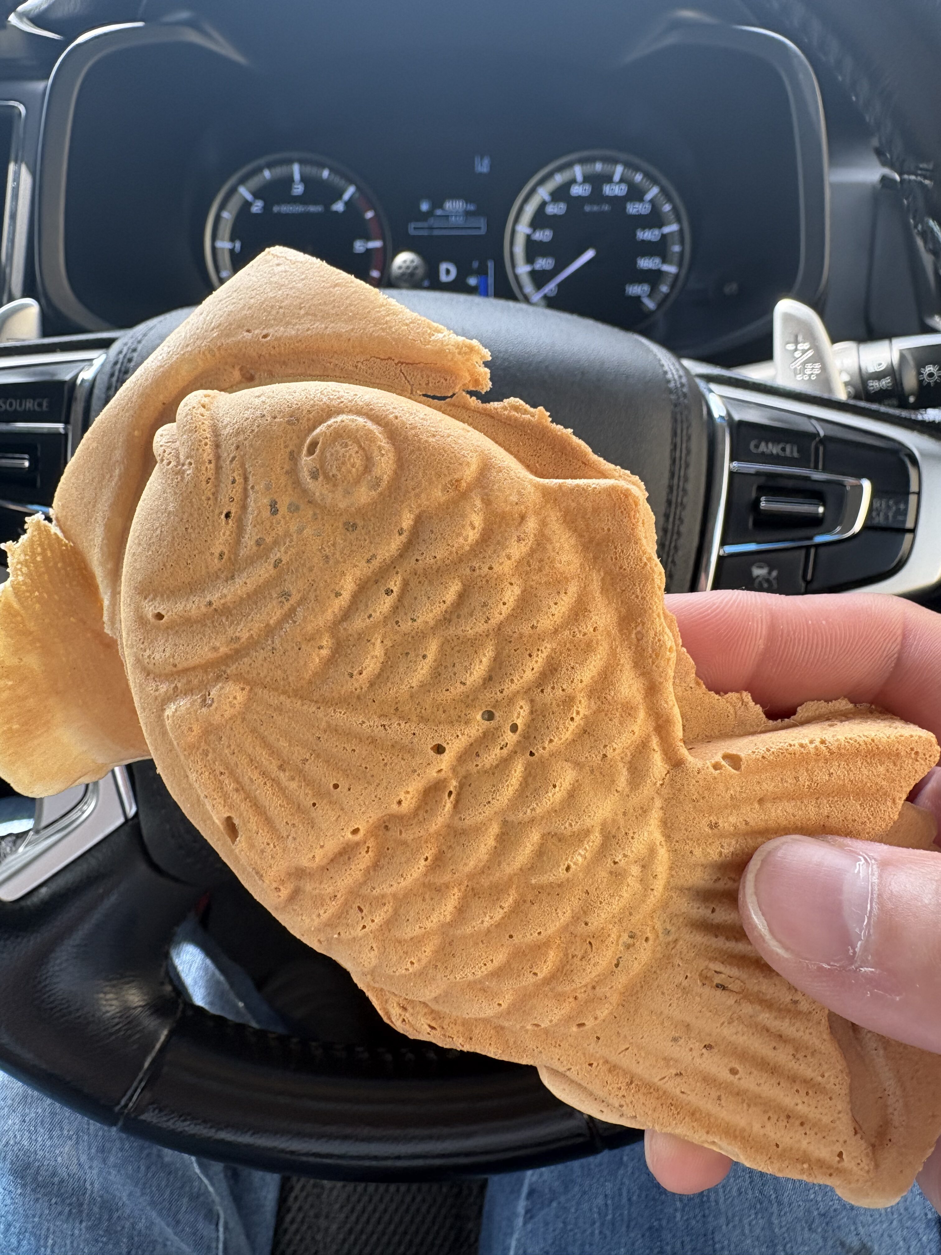 デリカの車内でたい焼きを持つ手